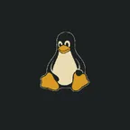theclumsypirate